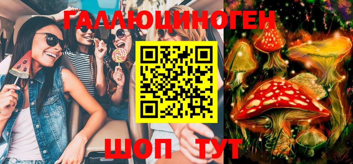 Псилоцибиновые грибы Psilocybe Аша
