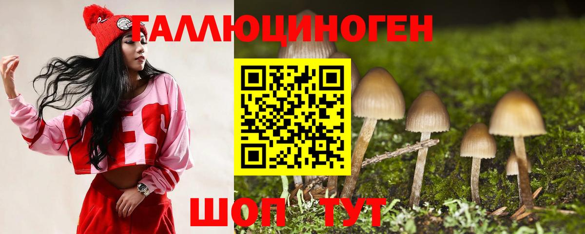 Галлюциногенные грибы прущие грибы  Вход с VPN  Галлюциногенные грибы Psilocybine cubensis  Аша 
